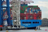 The German government approves COSCO Group to invest in the Hamburg Port Container Pie