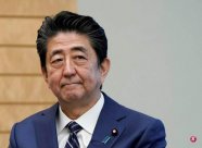 The Japanese government seeks the court as soon