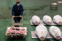 Following China Russia announced the suspension of imported Japanese aquatic products