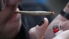 Daily marijuana use surpasses alcohol consumption, new study finds