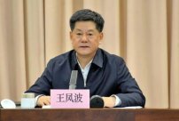 For the first time, the Liaoning Discipline Inspection Commission disclosed that Wang 