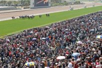 The number of entrants in Hong Kong New Year Horse Racing Day is a new high after 2019