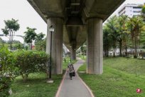 Comment: The government is valued at the bottom of the subway viaduct or is rented in 