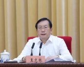 Wang Zhonglin, Governor of Hubei Province: Resolutely correct problems such as random 